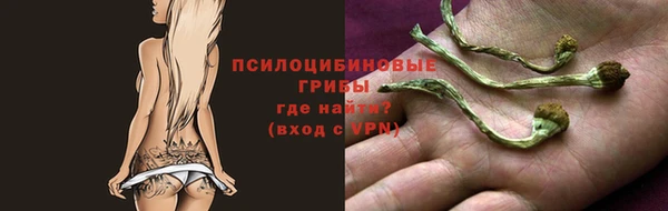 СК Вяземский