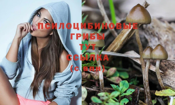 СК Вяземский