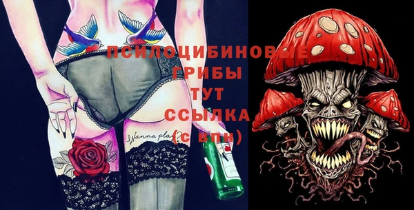 прущий лед Вязники